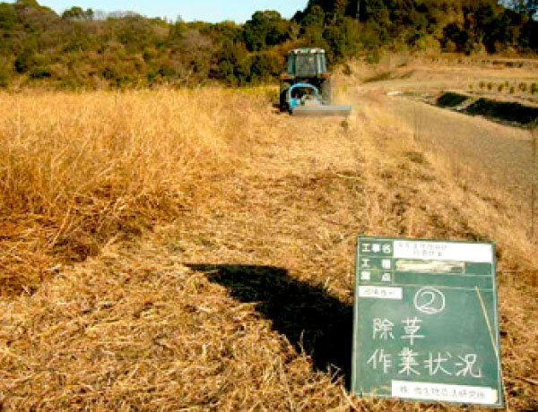 除草作業の様子